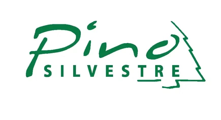 PINO SILVESTRE