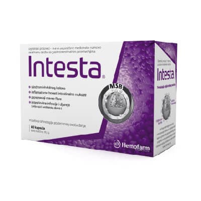 Intesta